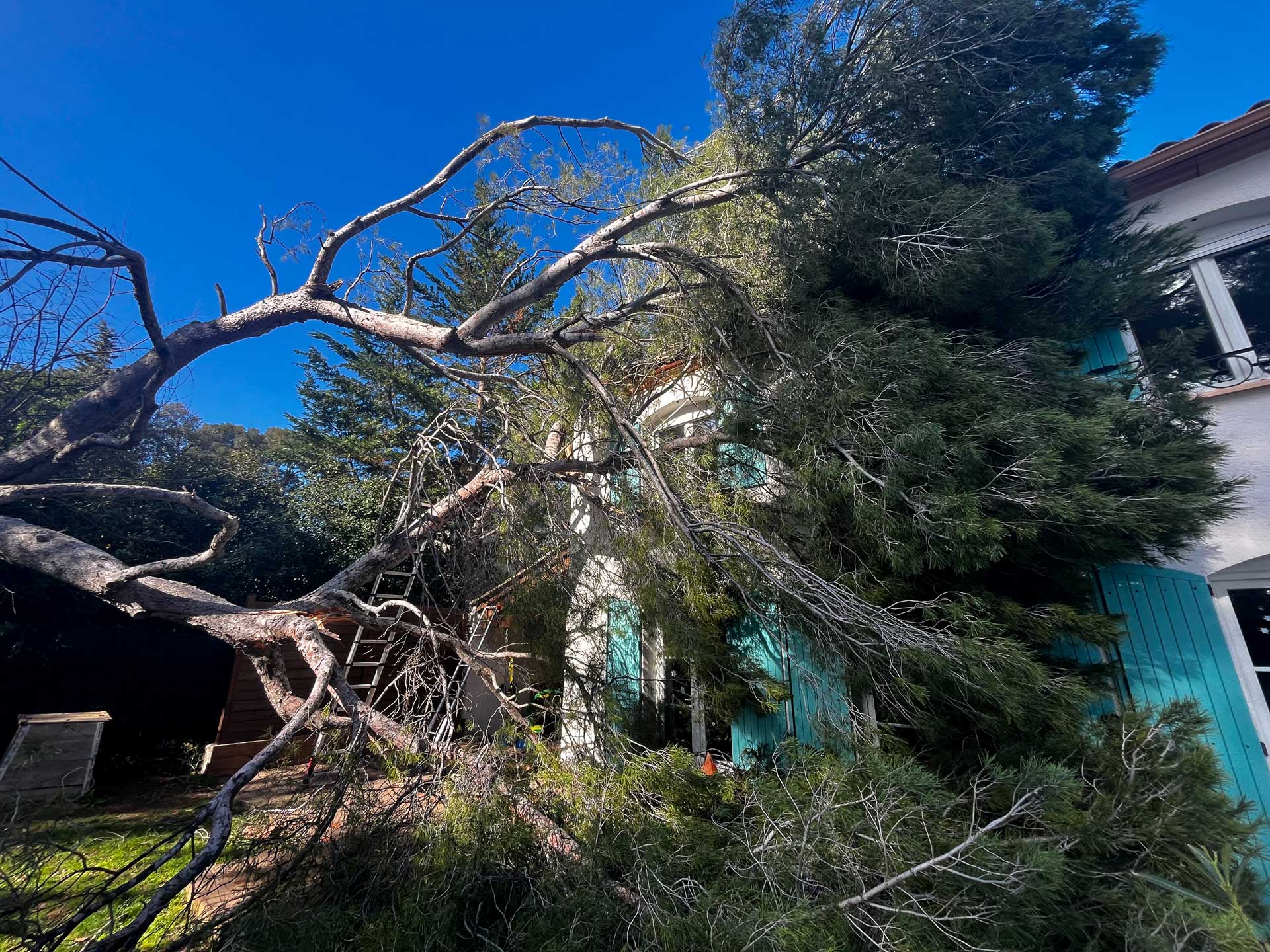 arbre tombé sur une maison