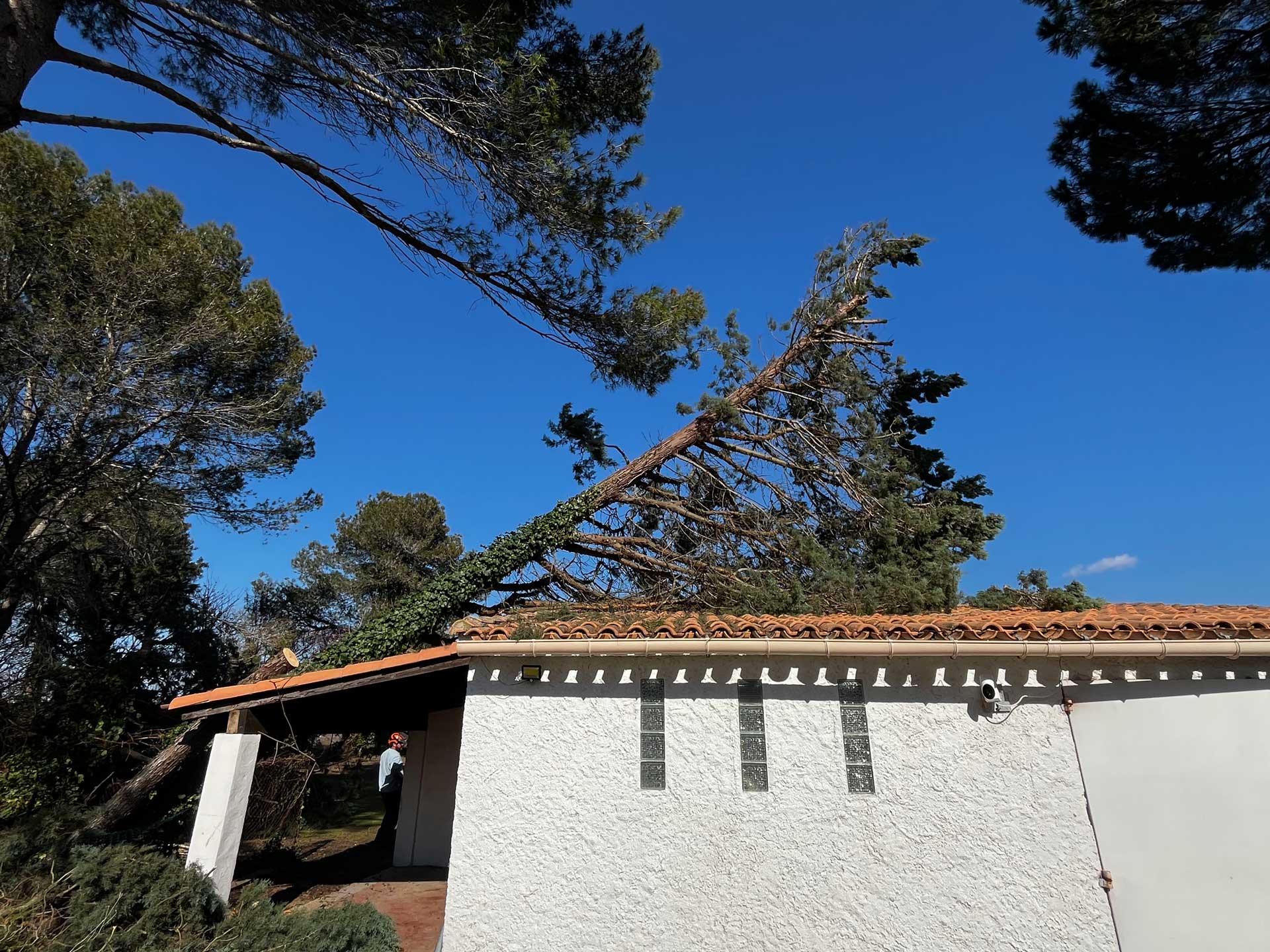 arbre tombé sur une maison